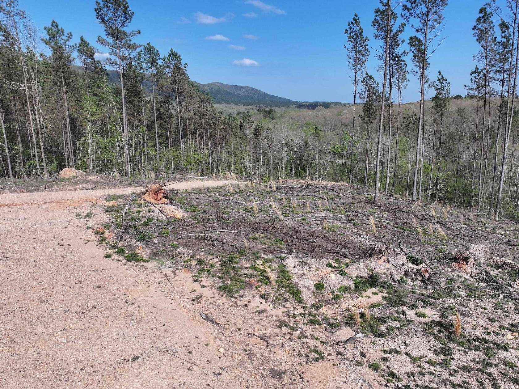 15 Acres of Recreational & Residential Land for Sale in Caddo Gap, Arkansas