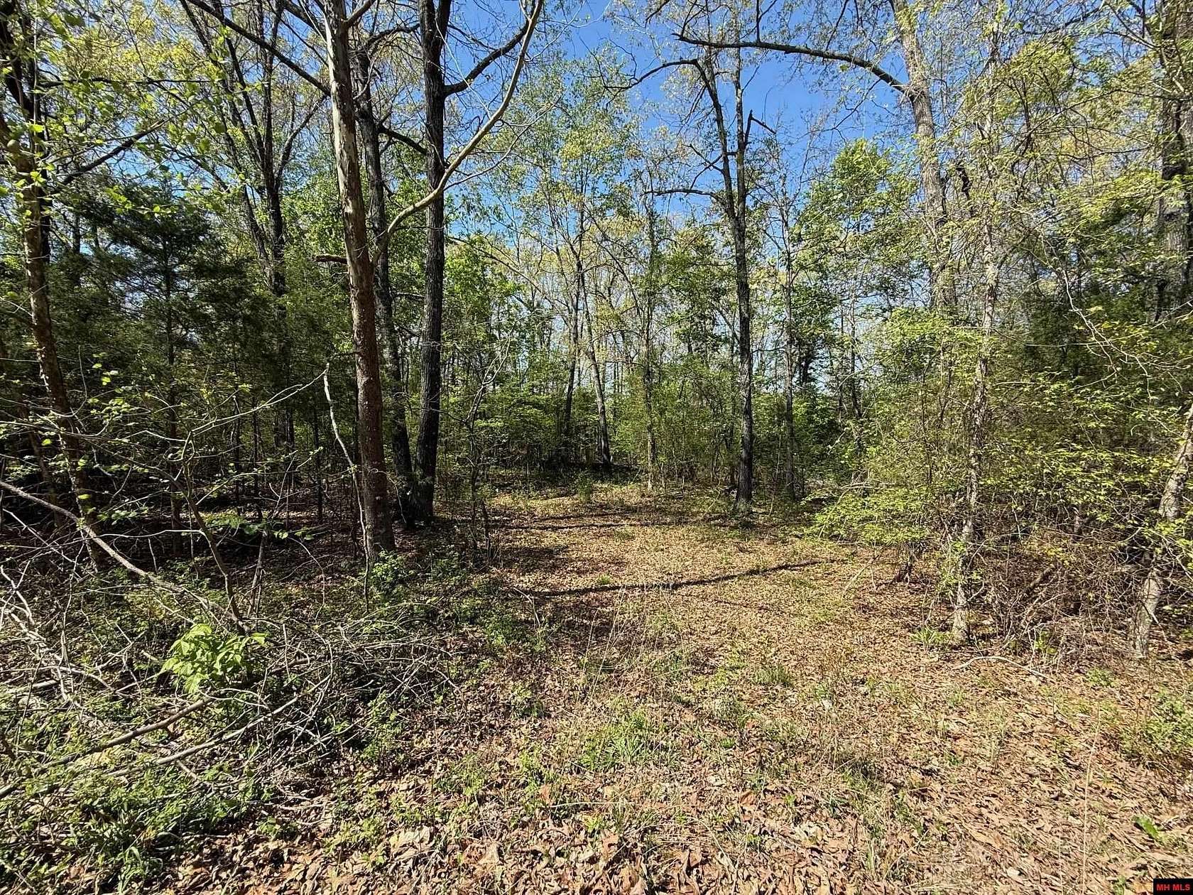 2 Acres of Residential Land for Sale in Elizabeth, Arkansas