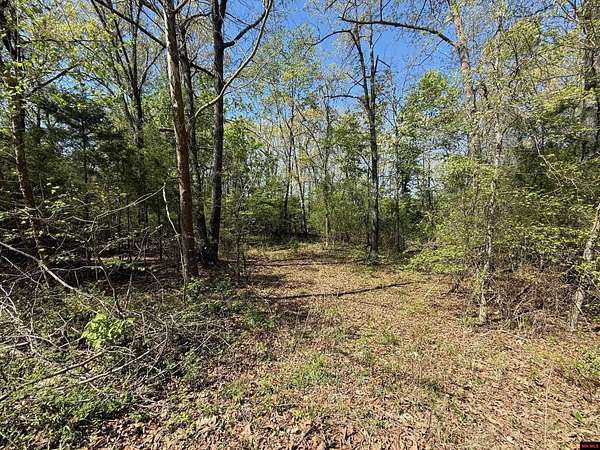 2 Acres of Residential Land for Sale in Elizabeth, Arkansas