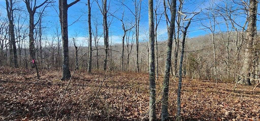 0.6 Acres of Residential Land for Sale in Holladay, Tennessee