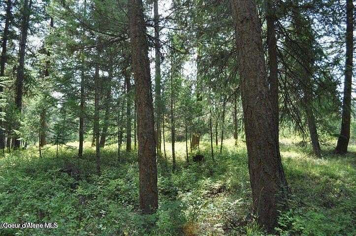0.31 Acres of Residential Land for Sale in Blanchard, Idaho