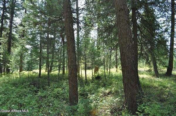 0.31 Acres of Residential Land for Sale in Blanchard, Idaho