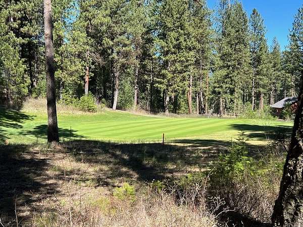 1.1 Acres of Residential Land for Sale in New Meadows, Idaho