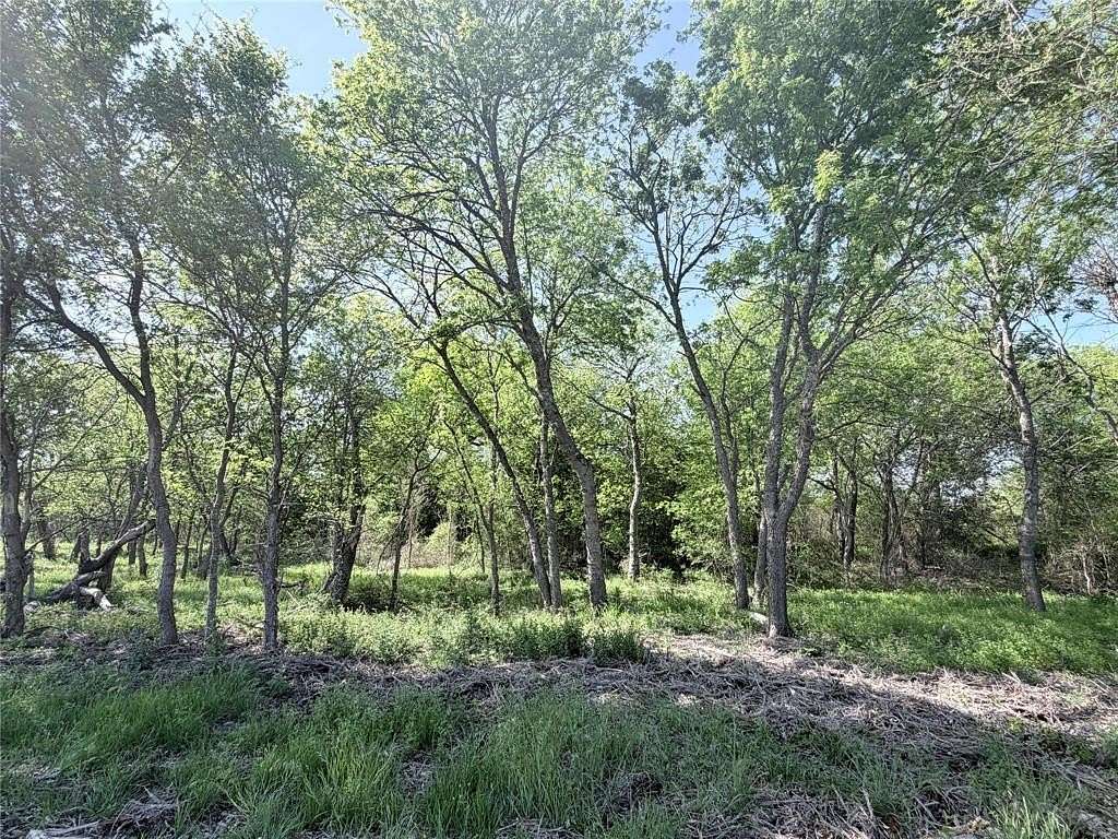 10 Acres of Recreational & Residential Land for Sale in Abbott, Texas
