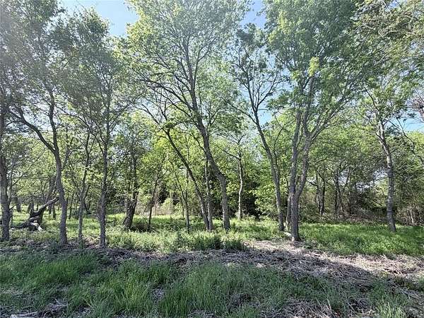 10 Acres of Recreational & Residential Land for Sale in Abbott, Texas