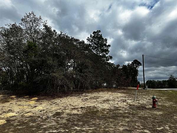0.29 Acres of Residential Land for Sale in Ocala, Florida