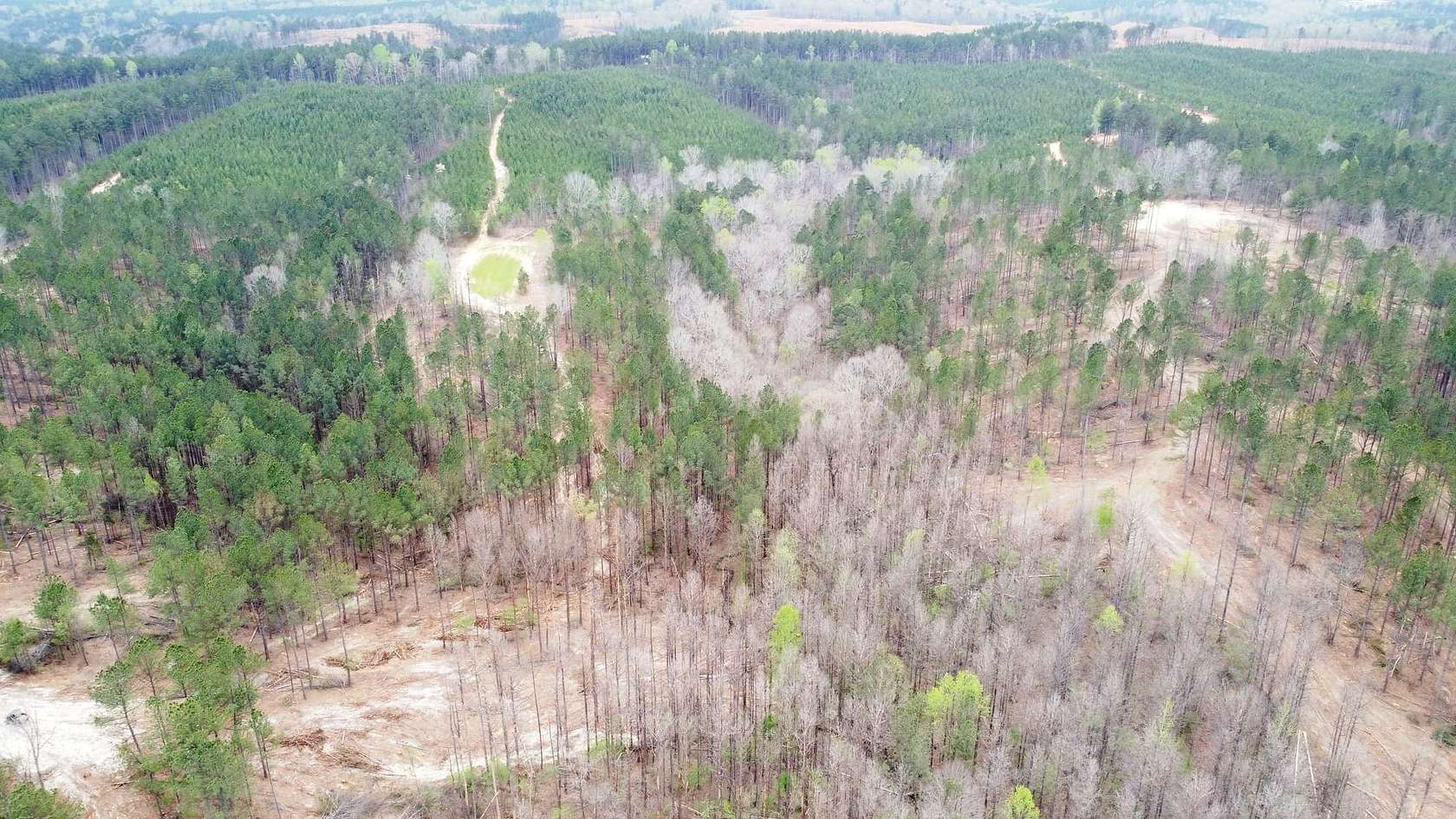 259 Acres of Land for Sale in Double Springs, Alabama