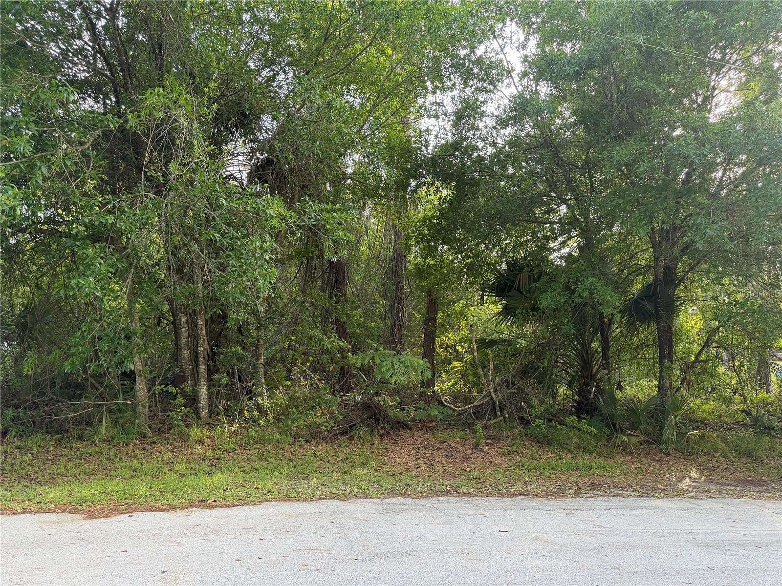 0.24 Acres of Residential Land for Sale in Palm Coast, Florida