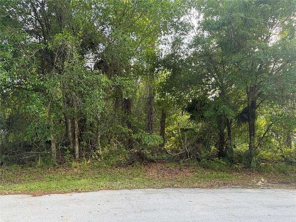 0.24 Acres of Residential Land for Sale in Palm Coast, Florida