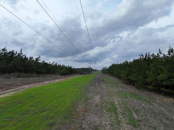 80 Acres of Recreational Land for Sale in Blue Springs, Mississippi