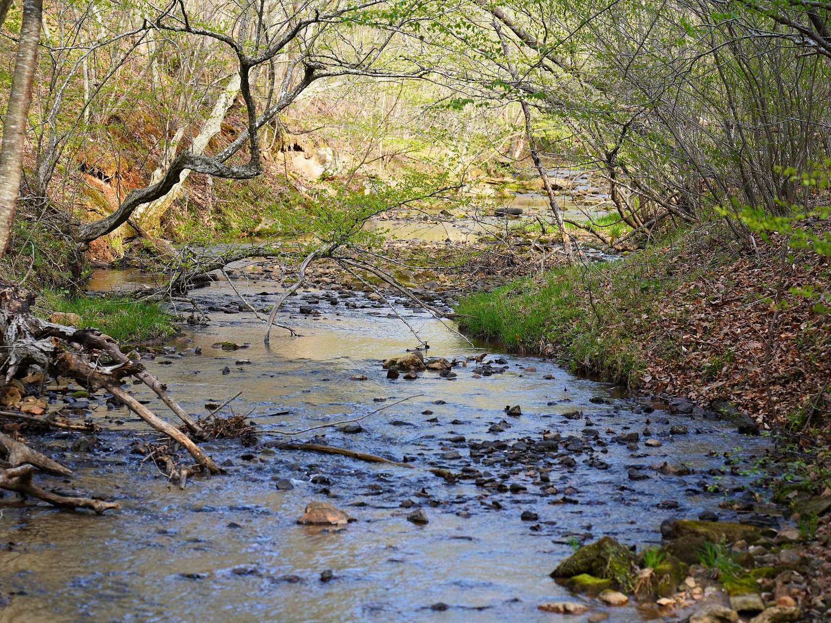 103 Acres of Recreational Land for Sale in Henry, Virginia