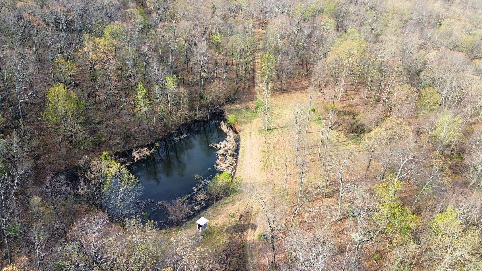 320 Acres of Recreational Land for Sale in Alpena, Arkansas