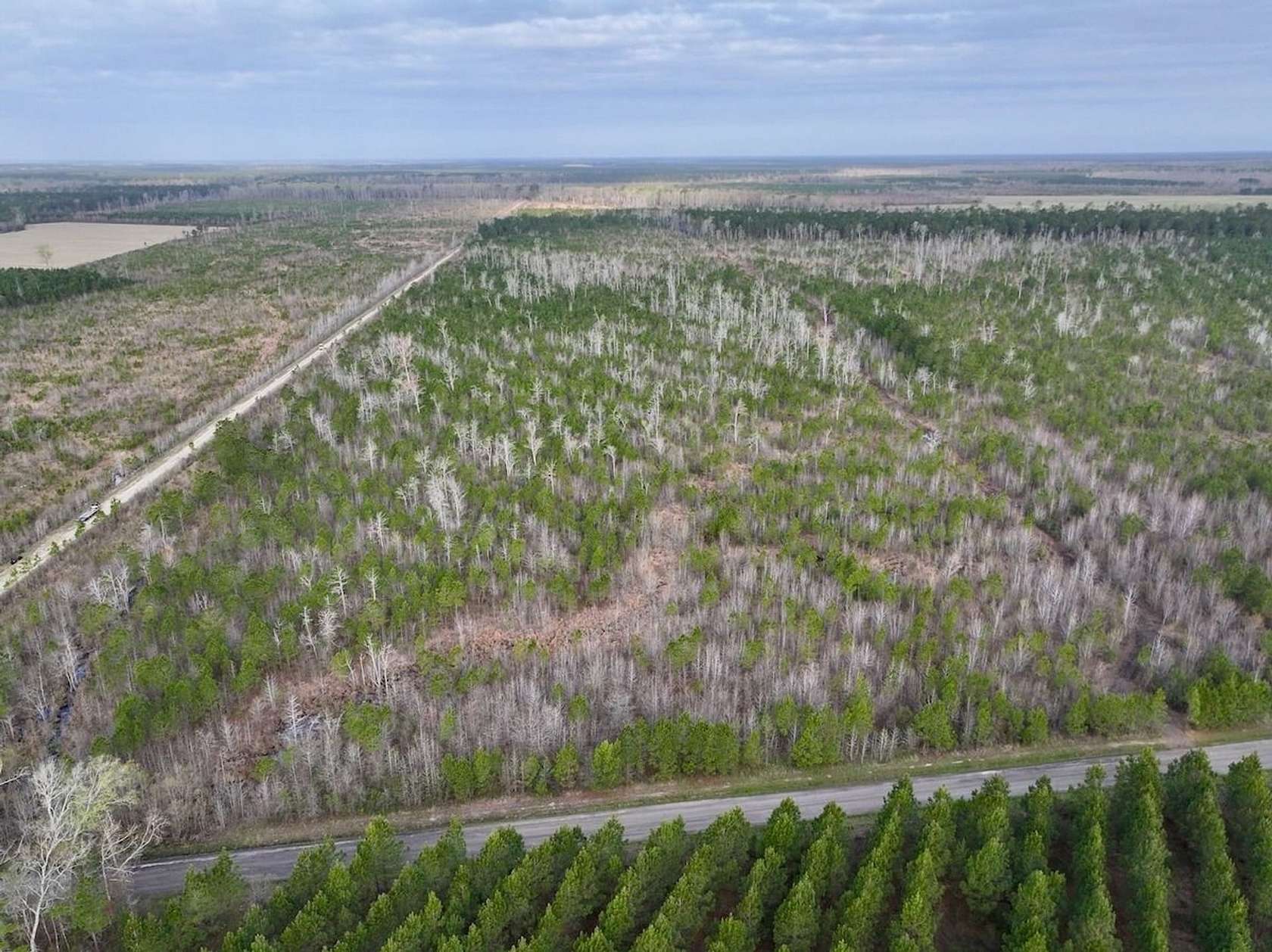 37 Acres of Recreational Land for Sale in Ernul, North Carolina