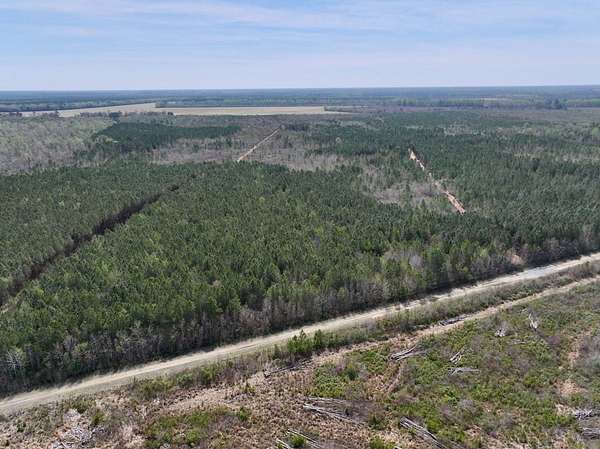 55 Acres of Recreational Land for Sale in Ernul, North Carolina