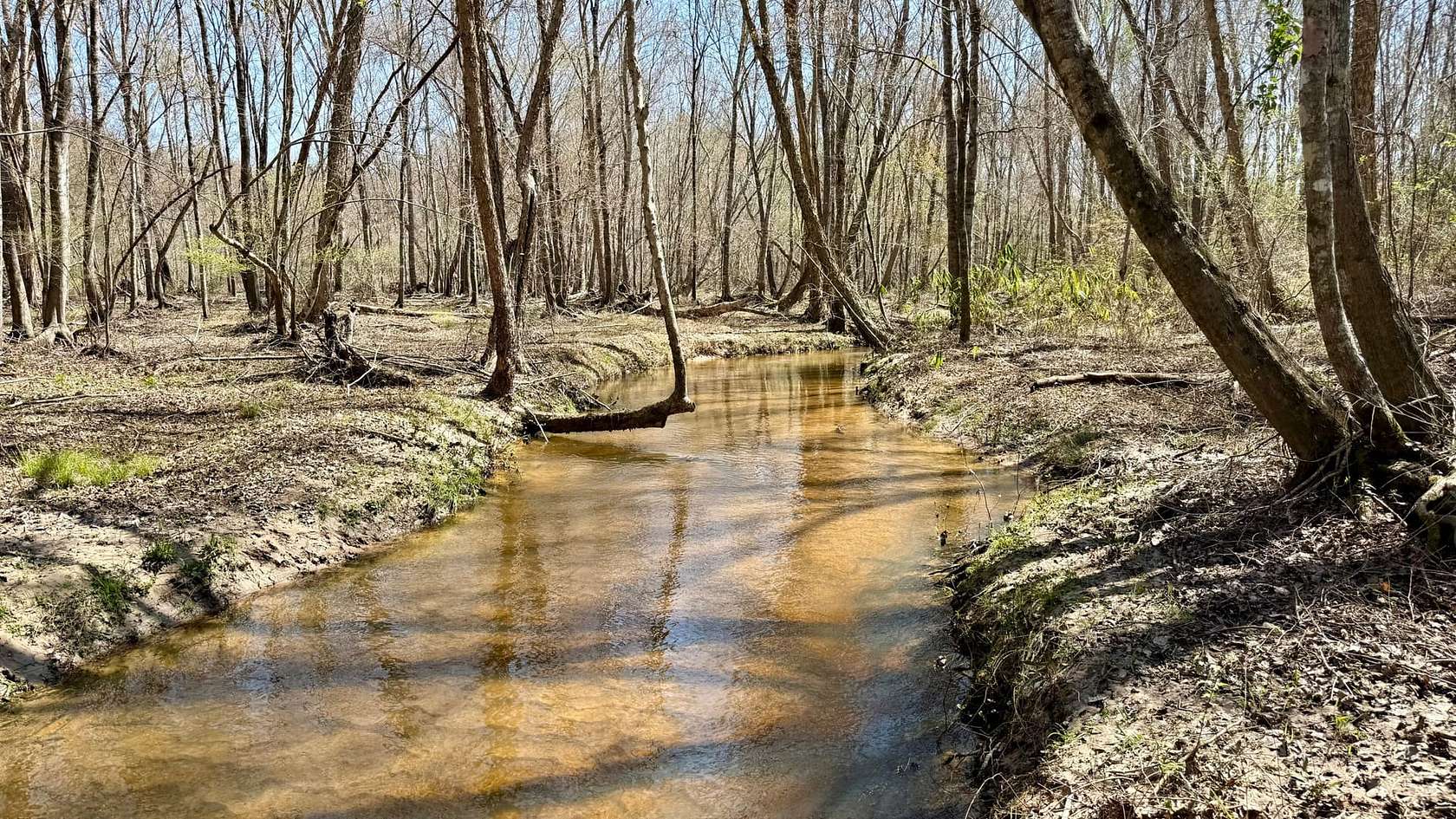 223 Acres of Recreational Land for Sale in Tennille, Georgia