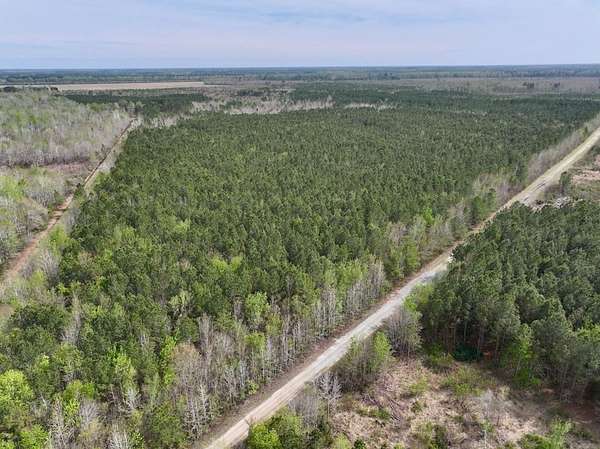 25 Acres of Recreational Land for Sale in Ernul, North Carolina