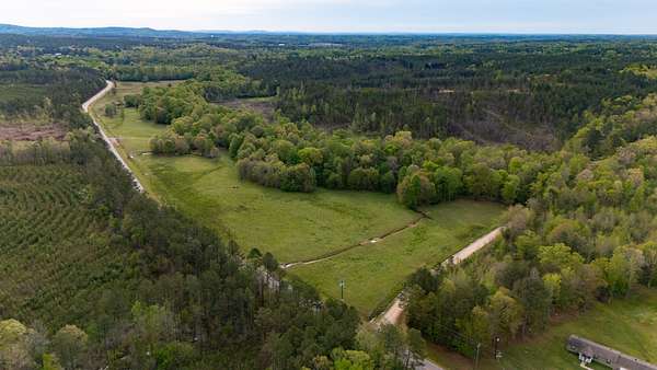 39.3 Acres of Agricultural Land for Sale in Columbiana, Alabama