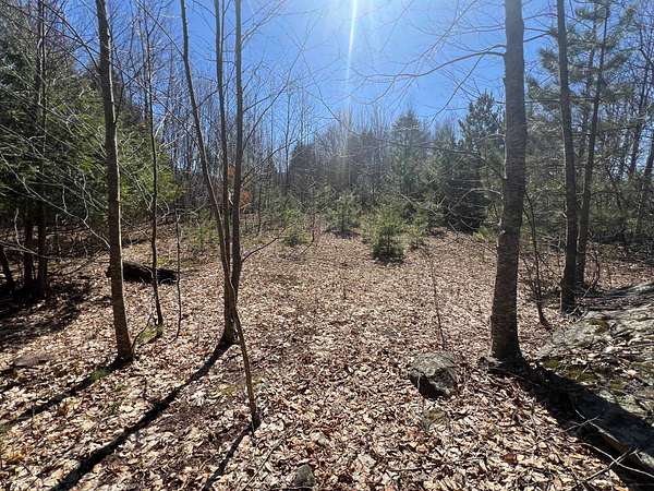 11.4 Acres of Land for Sale in Jewett, New York