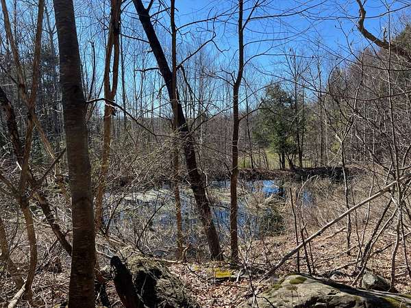 11.4 Acres of Land for Sale in Jewett, New York