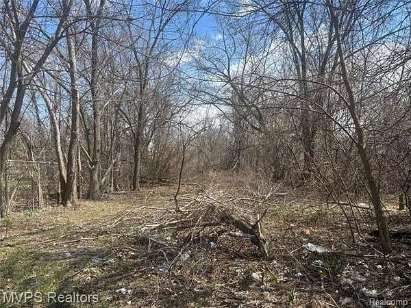 0.16 Acres of Residential Land for Sale in Pontiac, Michigan