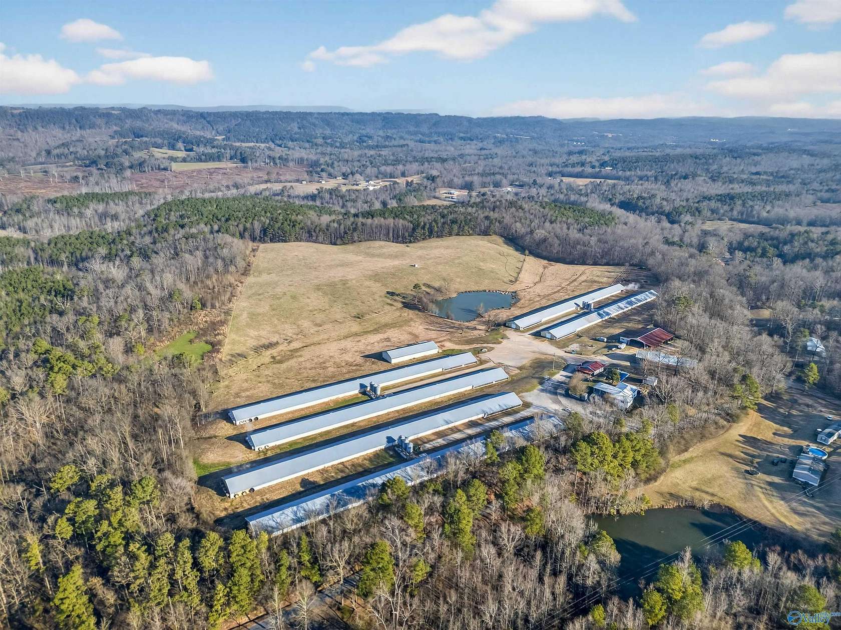 50 Acres of Improved Agricultural Land for Sale in Altoona, Alabama