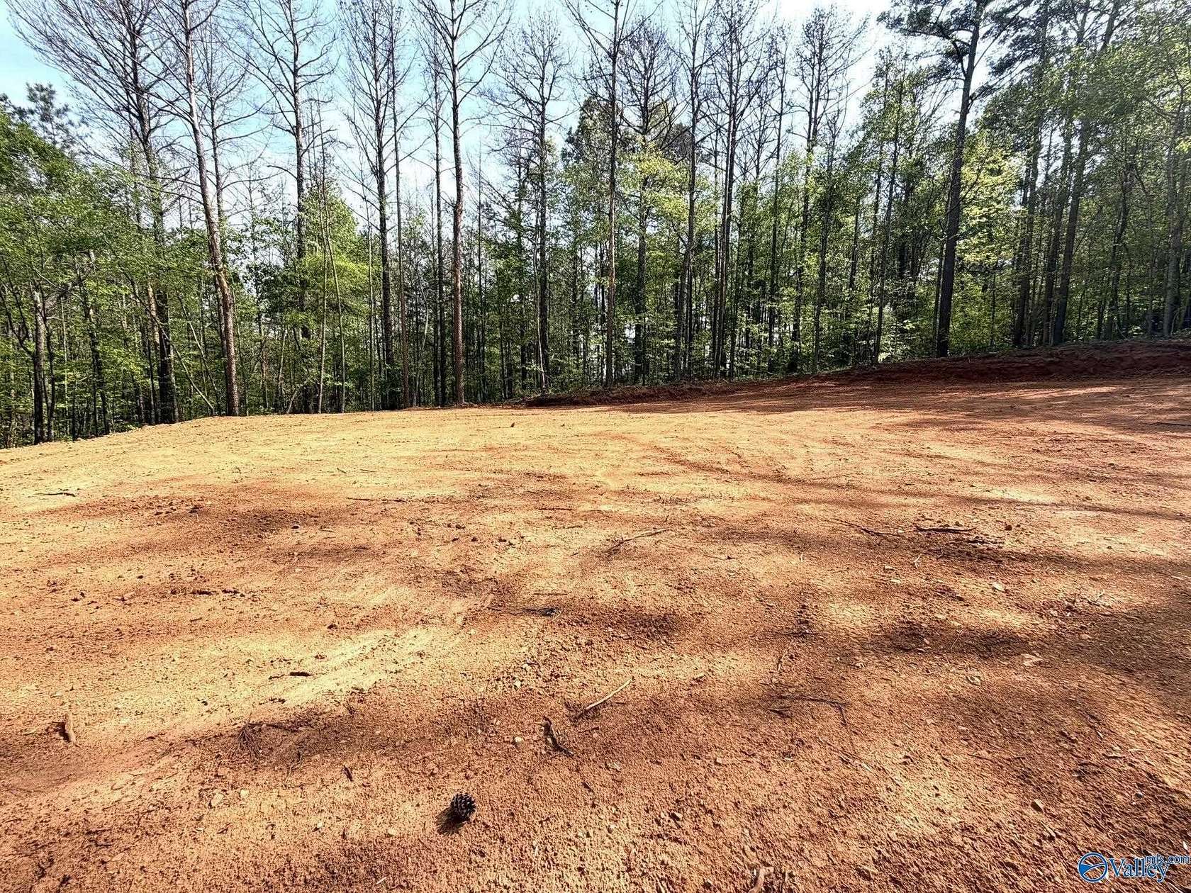 78 Acres of Recreational & Residential Land for Sale in Steele, Alabama