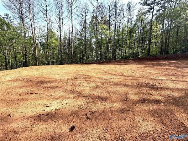 78 Acres of Recreational & Residential Land for Sale in Steele, Alabama