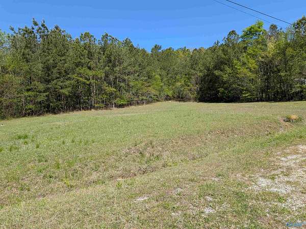 Land for Sale in Glencoe, Alabama