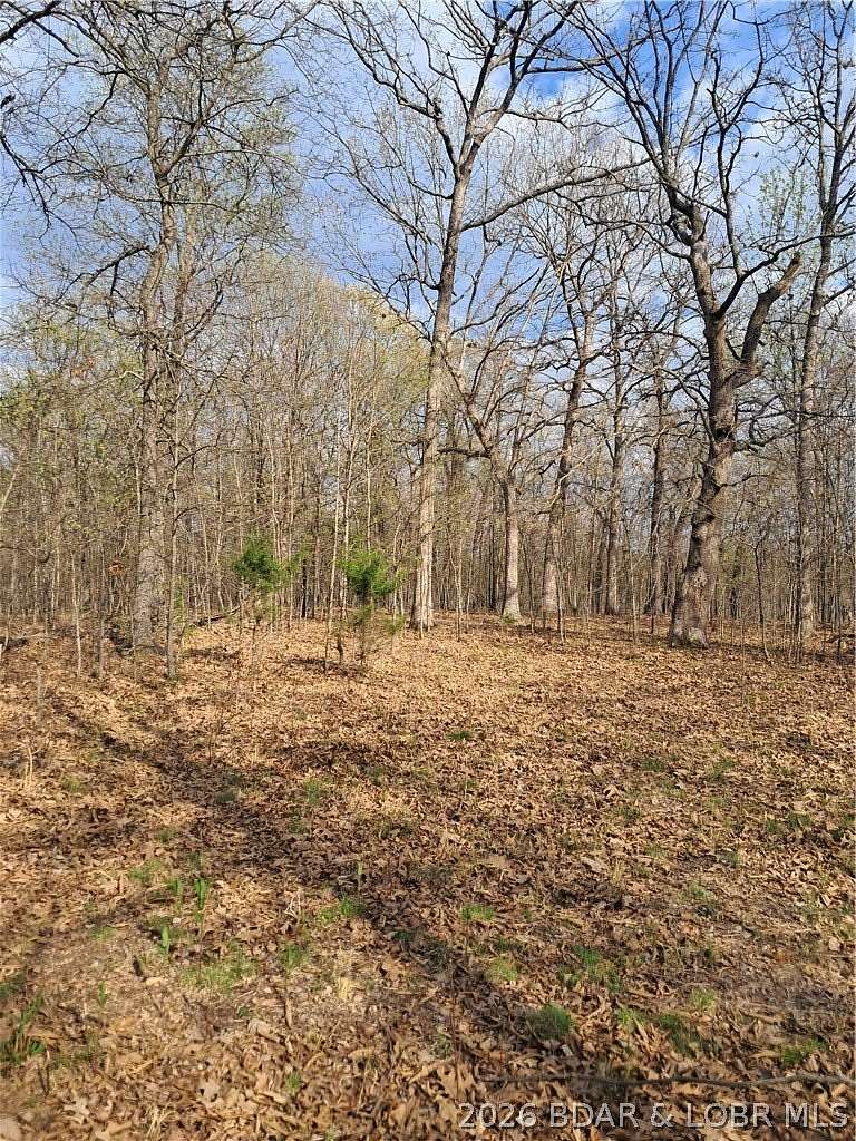 10.8 Acres of Recreational & Residential Land for Sale in Gravois Mills, Missouri