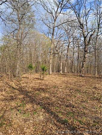 10.8 Acres of Recreational & Residential Land for Sale in Gravois Mills, Missouri