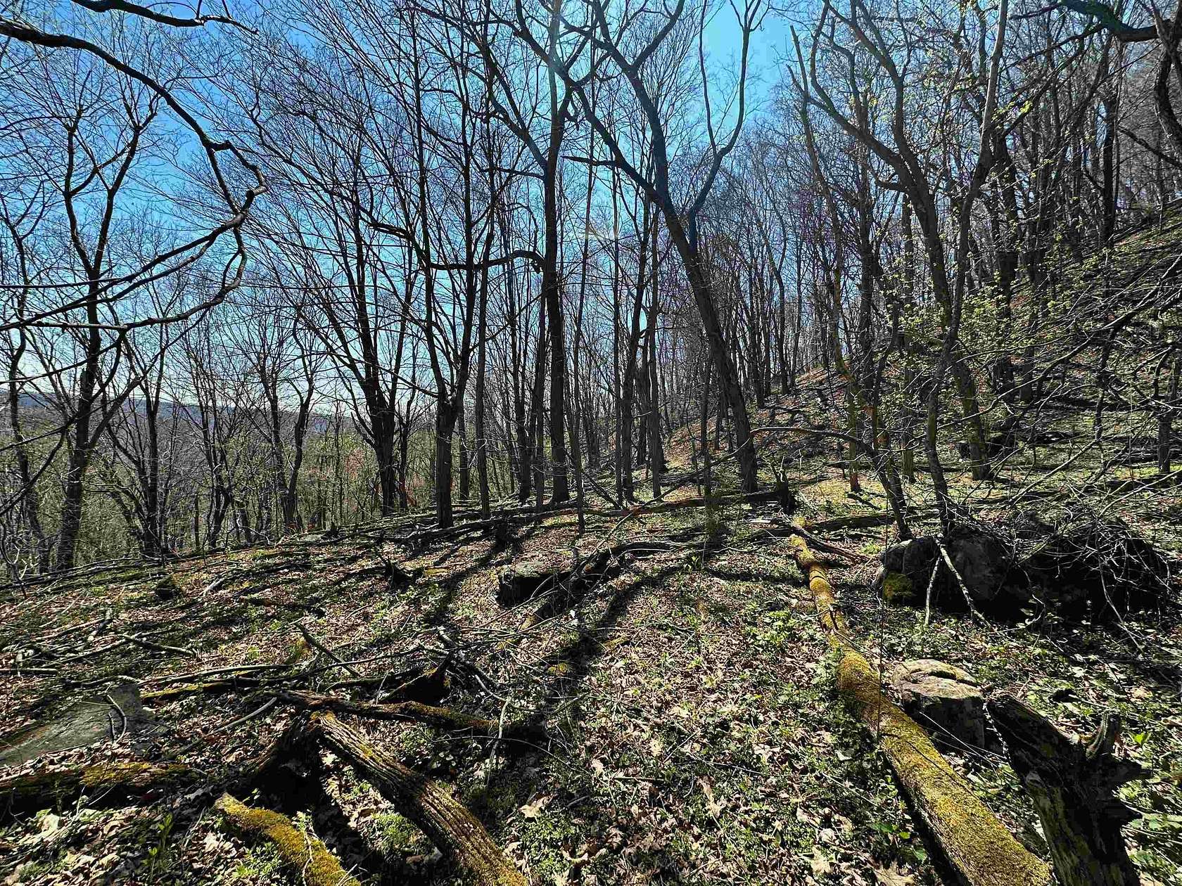 31.2 Acres of Recreational & Residential Land for Sale in Newport, Virginia