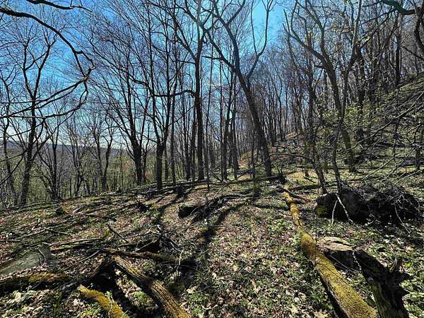 31.2 Acres of Recreational & Residential Land for Sale in Newport, Virginia