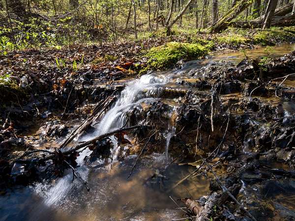 42 Acres of Land for Sale in Chattanooga, Tennessee