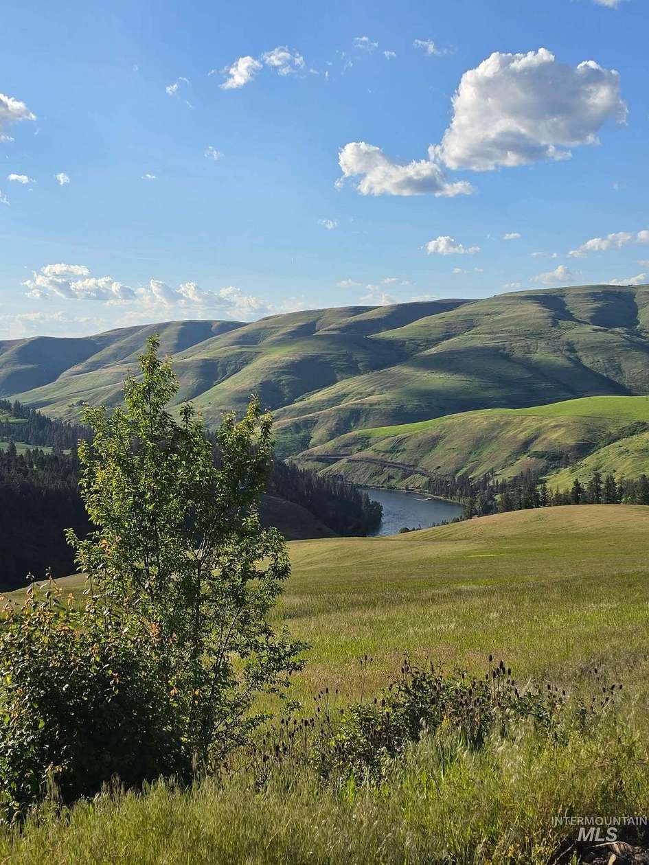 12.5 Acres of Recreational & Residential Land for Sale in Lenore, Idaho