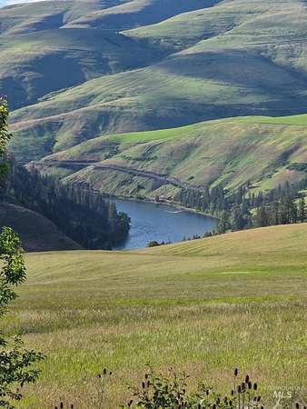 12.5 Acres of Recreational & Residential Land for Sale in Lenore, Idaho