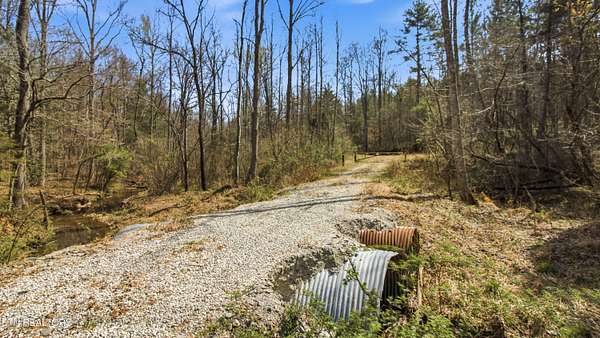 106 Acres of Land for Sale in Robbins, Tennessee