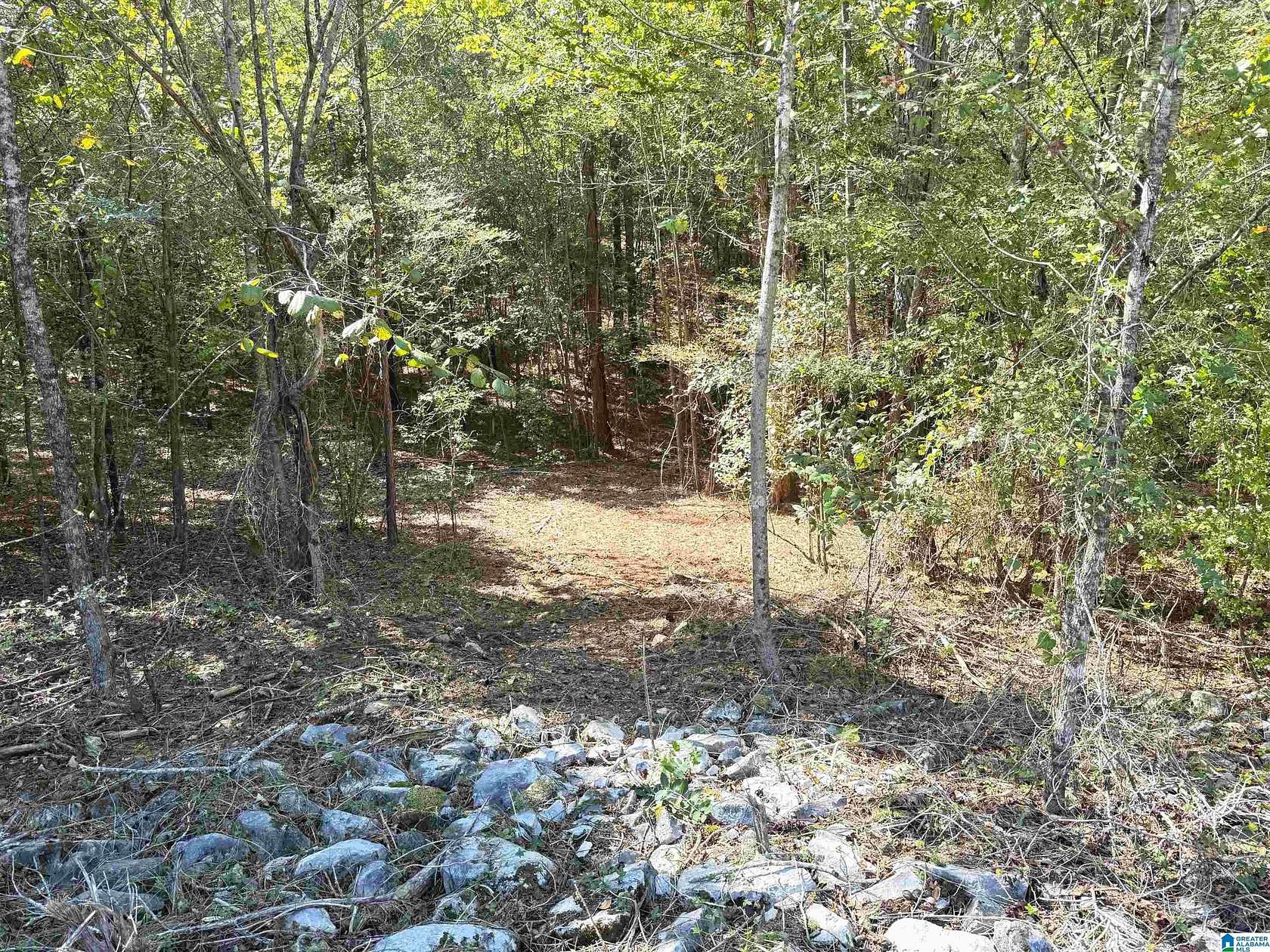 4.2 Acres of Residential Land for Sale in Odenville, Alabama