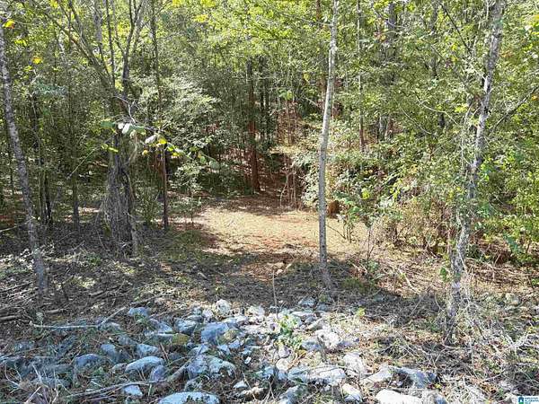 4.2 Acres of Residential Land for Sale in Odenville, Alabama