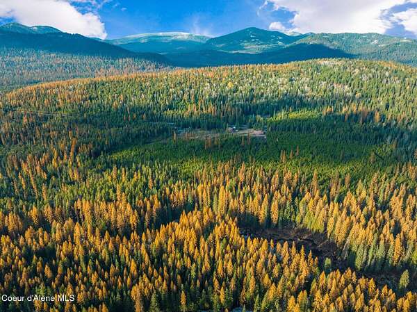 10 Acres of Residential Land for Sale in Nordman, Idaho