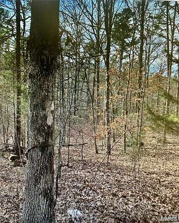 14.2 Acres of Recreational & Residential Land for Sale in Potosi, Missouri