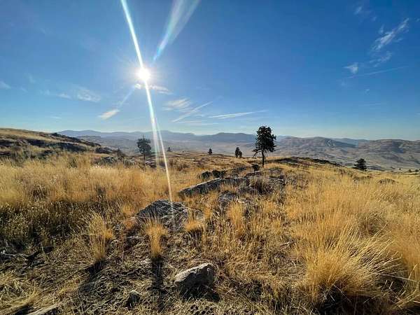 20 Acres of Recreational & Residential Land for Sale in Tonasket, Washington
