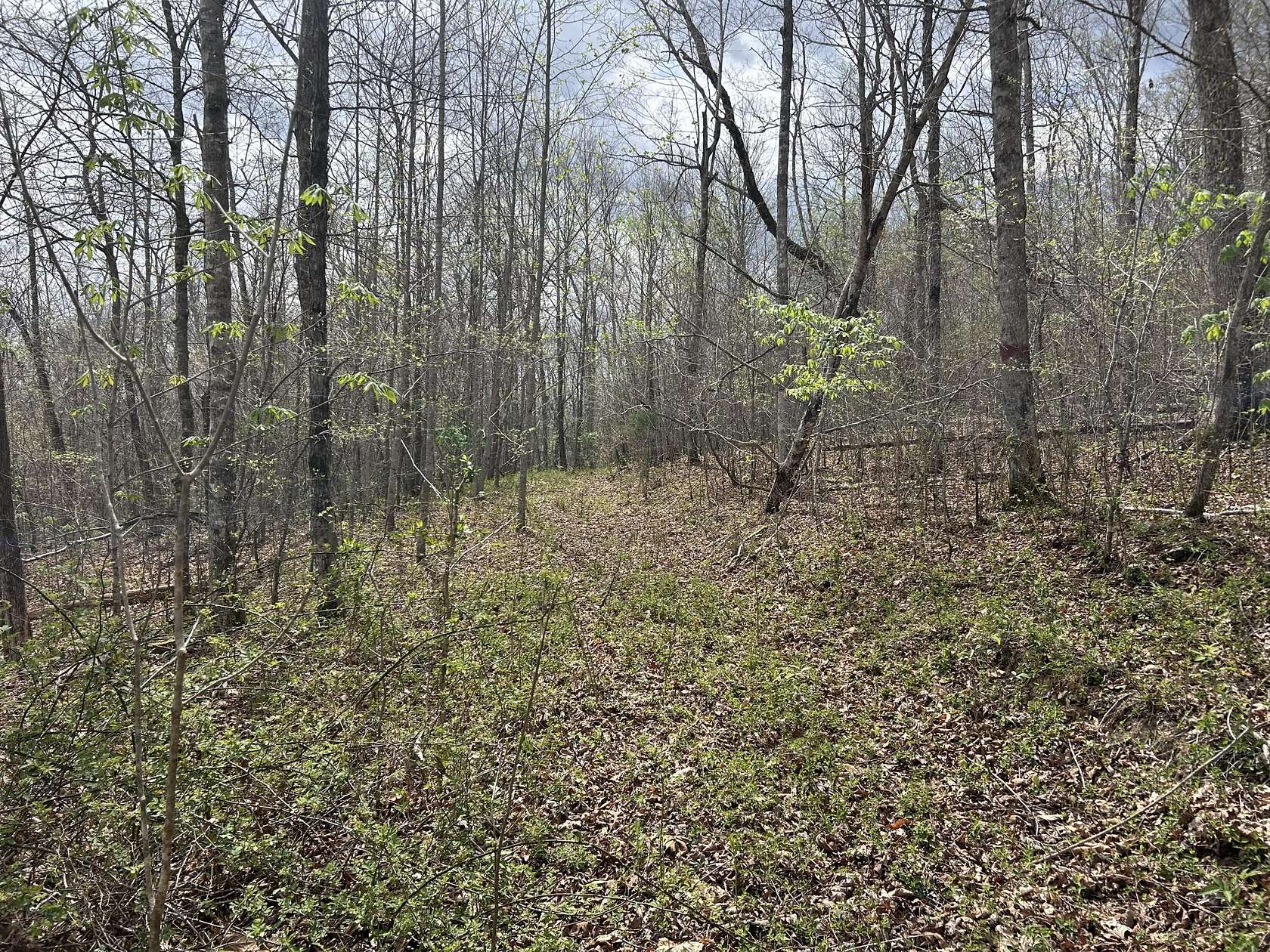 58 Acres of Recreational Land for Sale in Monticello, Kentucky