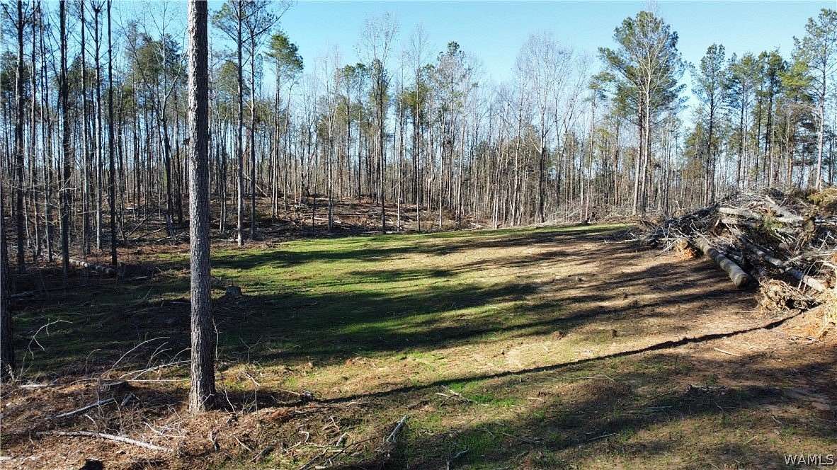 38 Acres of Land for Sale in Oakman, Alabama