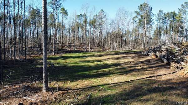 38 Acres of Land for Sale in Oakman, Alabama
