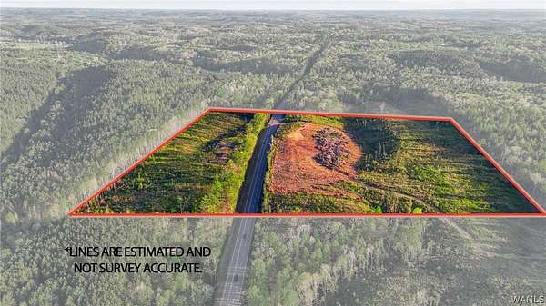 35 Acres of Land for Sale in Parrish, Alabama