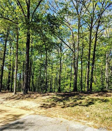 11.7 Acres of Land for Sale in Northport, Alabama