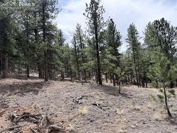 0.8 Acres of Land for Sale in Lake George, Colorado