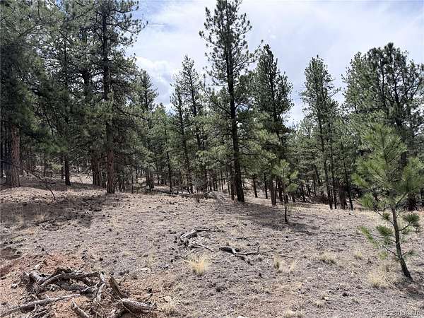 0.8 Acres of Land for Sale in Lake George, Colorado