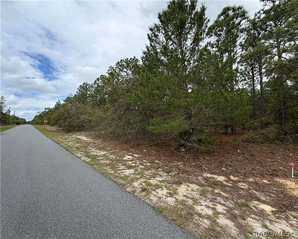 5.7 Acres of Land for Sale in Beverly Hills, Florida