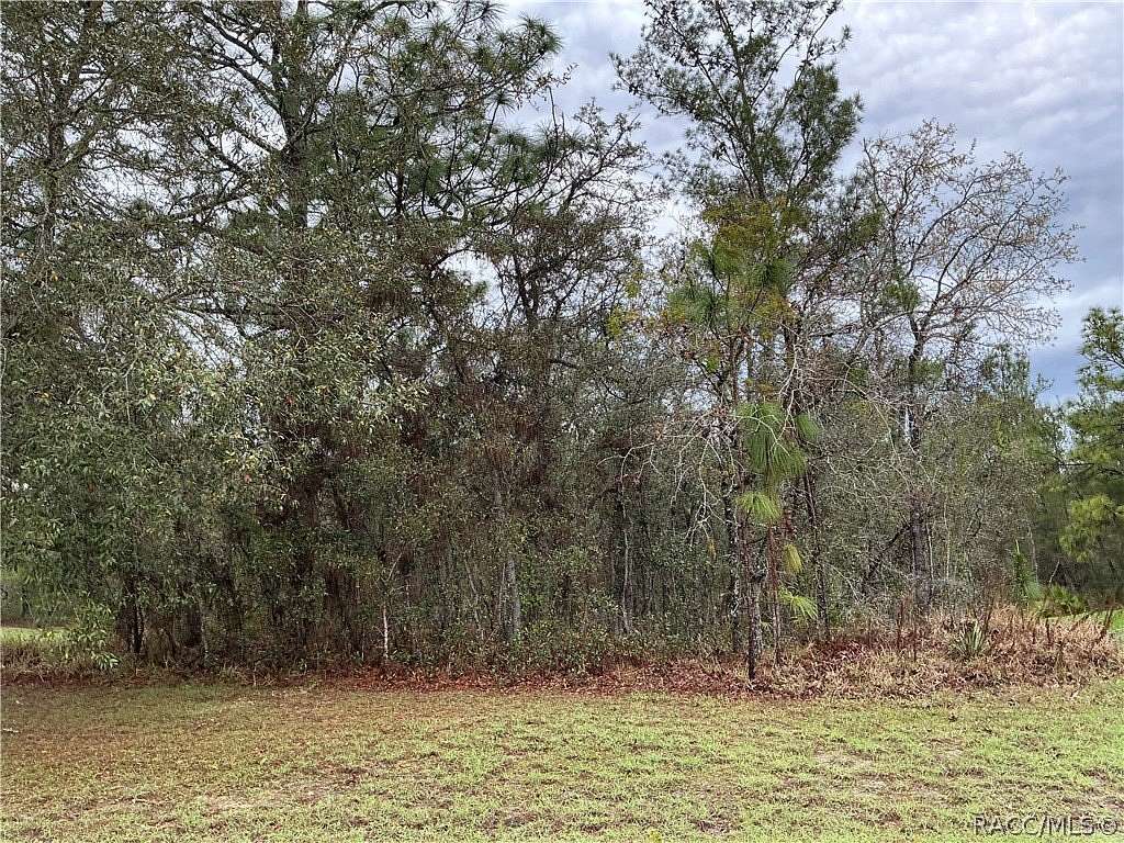 0.28 Acres of Residential Land for Sale in Homosassa, Florida